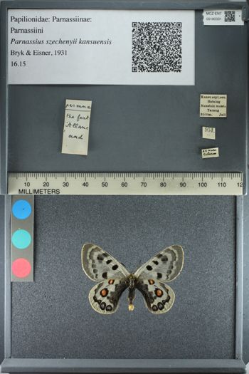 Media type: image;   Entomology 180331